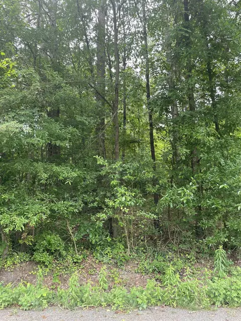 905 Bunn Ter, Durham, NC 27703 photo 2