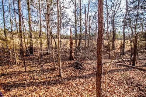 0 Epps Martin Rd, Roxboro, NC 27574 photo 16