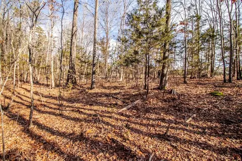 0 Epps Martin Rd, Roxboro, NC 27574 photo 17