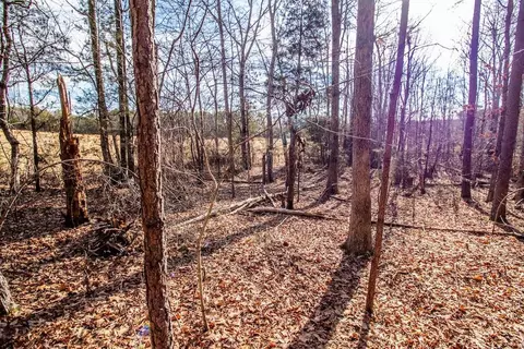 0 Epps Martin Rd, Roxboro, NC 27574 photo 18