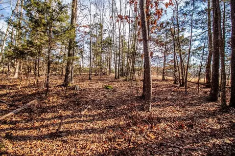 0 Epps Martin Rd, Roxboro, NC 27574 photo 15