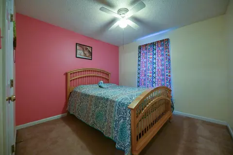 145 Wilmack Dr, Benson, NC 27504 photo 26