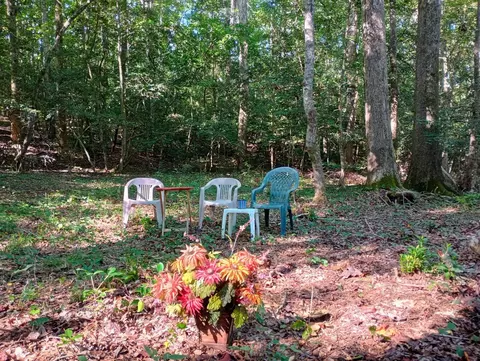 119-121 Cree Dr, Louisburg, NC 27549