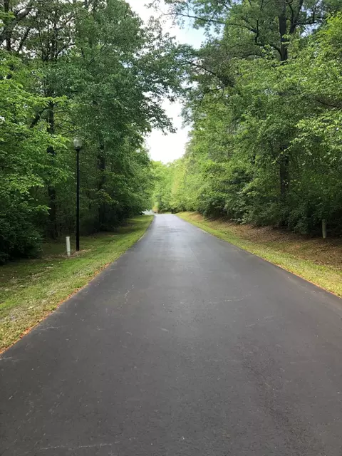 595 Billets Run, Moncure, NC 27559 photo 69