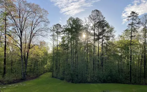 595 Billets Run, Moncure, NC 27559 photo 67