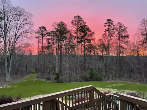595 Billets Run, Moncure, NC 27559 photo 59
