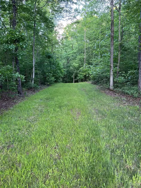 595 Billets Run, Moncure, NC 27559 photo 70