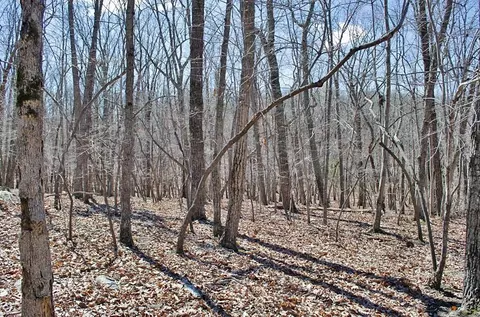 020 Fire Tower Dr, Rougemont, NC 27572 photo 6