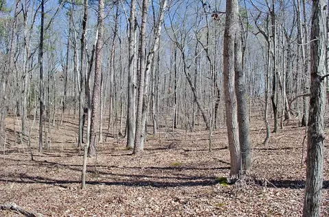 022 Fire Tower Dr, Rougemont, NC 27572 photo 8