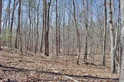 022 Fire Tower Dr, Rougemont, NC 27572 photo 5