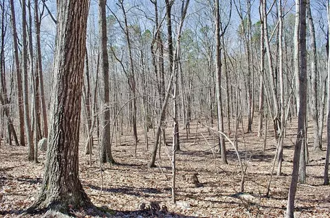 022 Fire Tower Dr, Rougemont, NC 27572 photo 3
