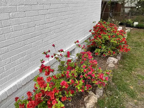 807 Leon St, Durham, NC 27704 photo 39
