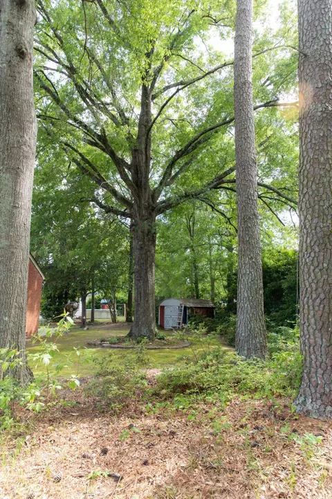 711 E Morris Cir, Dunn, NC 28334 photo 40