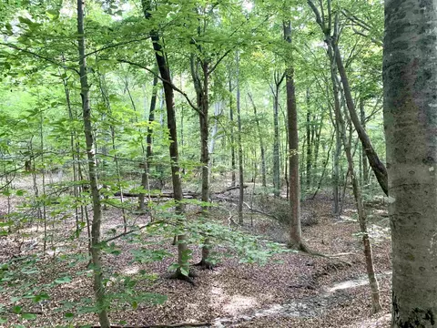 115 Araya Ln, Chapel Hill, NC 27516