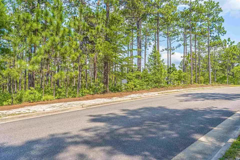 22 Chestertown Dr, Pinehurst, NC 28374 photo 8