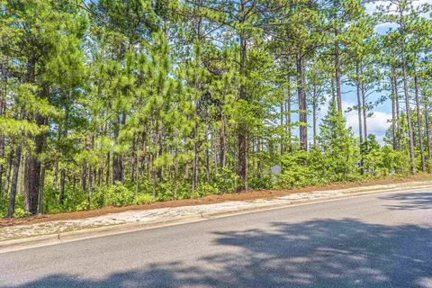 22 Chestertown Dr, Pinehurst, NC 28374 photo 4