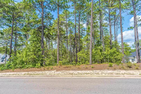 22 Chestertown Dr, Pinehurst, NC 28374 photo 6
