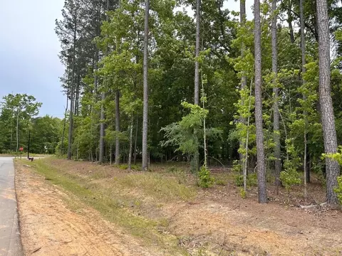 500 Colvard Woods Way, Durham, NC 27713 photo 3
