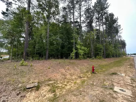 500 Colvard Woods Way, Durham, NC 27713 photo 6
