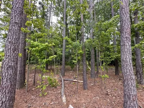 500 Colvard Woods Way, Durham, NC 27713 photo 9