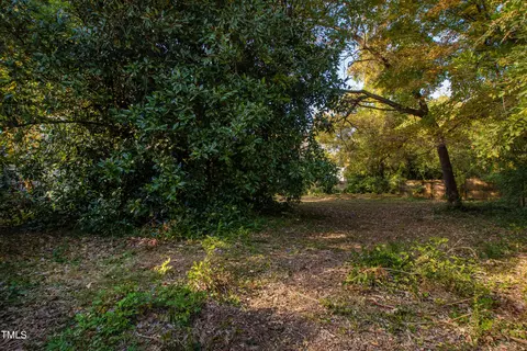 707 E Markham Ave, Durham, NC 27701 photo 14
