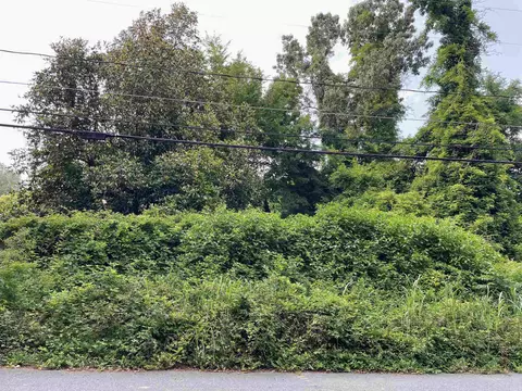707 E Markham Ave, Durham, NC 27701 photo 5