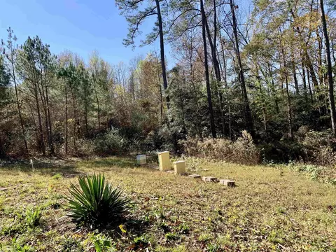 295 Byrdtown Rd, Benson, NC 27504 photo 18