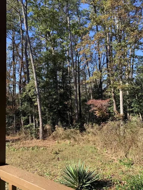 295 Byrdtown Rd, Benson, NC 27504 photo 19