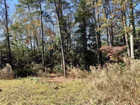 295 Byrdtown Rd, Benson, NC 27504 photo 17