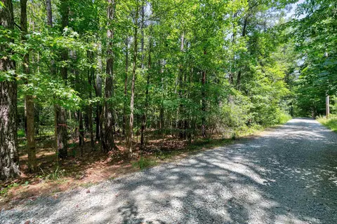 272 Mill Stone Rd, Moncure, NC 27559 photo 13