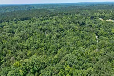 272 Mill Stone Rd, Moncure, NC 27559 photo 19
