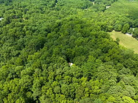 1273 Sid Mitchell Rd, Youngsville, NC 27596 photo 33