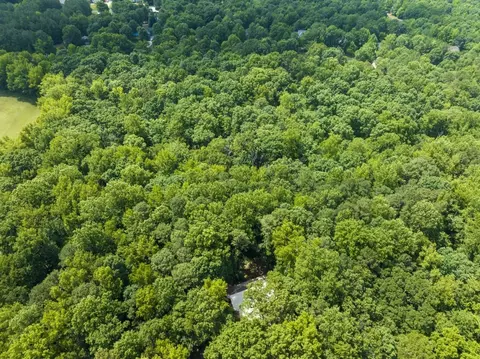 1273 Sid Mitchell Rd, Youngsville, NC 27596 photo 29