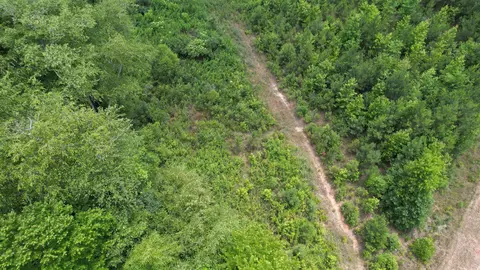 904 Richardson Rd, Zebulon, NC 27597