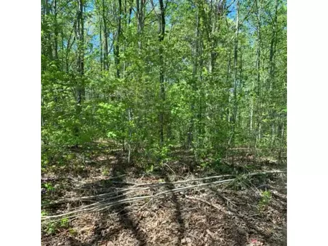351 Loftis Loop Rd, Roxboro, NC 27572 photo 1