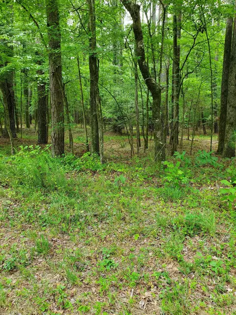 lot16 Pool Rock Rd, Henderson, NC 27537