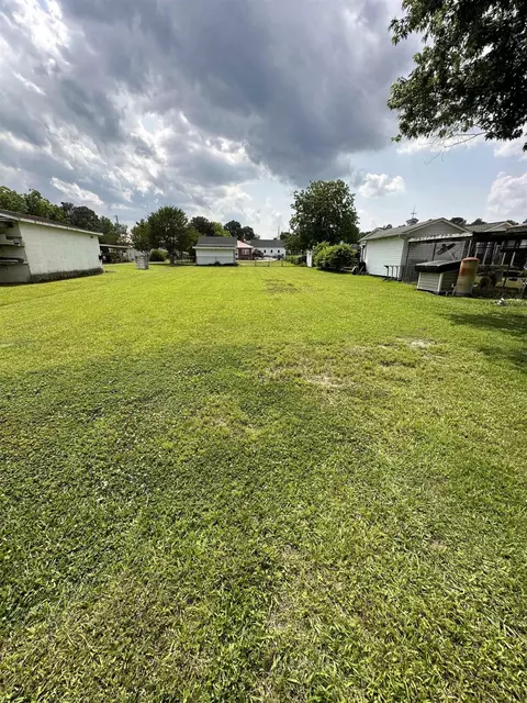 225 Iris Bryant Rd, Erwin, NC 28339 photo 16