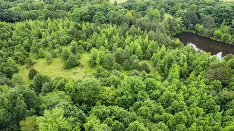 0 Walters Mill Rd, Providence, NC 27315