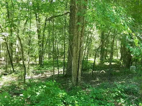 185 Screech Owl, Moncure, NC 27559