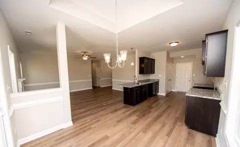 110 Ramble Falls Ln, Erwin, NC 28339 photo 5