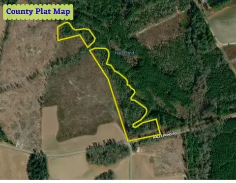 1120 Halls Pond Rd, Rose Hill, NC 28458