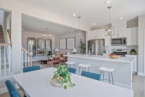 45 Bluebottle St #SVTH 239, Angier, NC 27501 photo 3