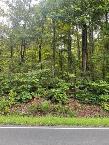 Will Suitt Road, Creedmoor, NC 27522