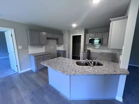420 Touchdown Way, Benson, NC 27504 photo 8