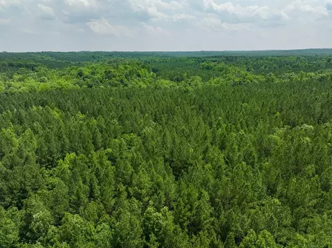 00 Mill Creek Rd, Roxboro, NC 27574 photo 52