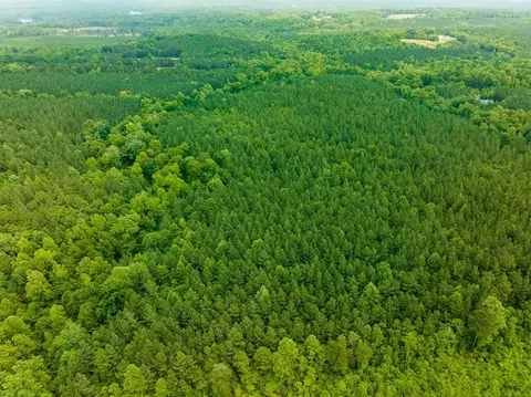 00 Mill Creek Rd, Roxboro, NC 27574 photo 23