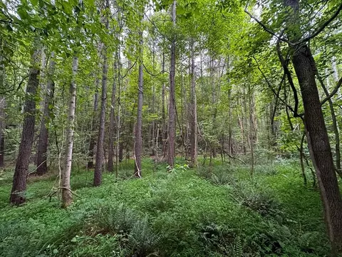 00 Mill Creek Rd, Roxboro, NC 27574 photo 25