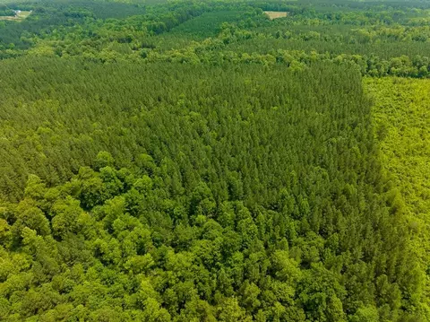 00 Mill Creek Rd, Roxboro, NC 27574 photo 29