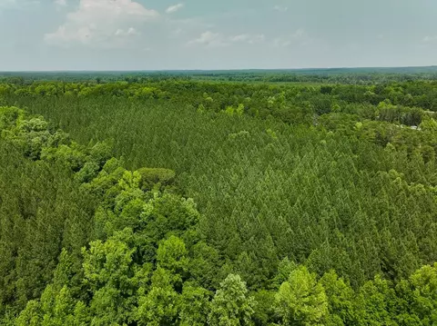 00 Mill Creek Rd, Roxboro, NC 27574 photo 49