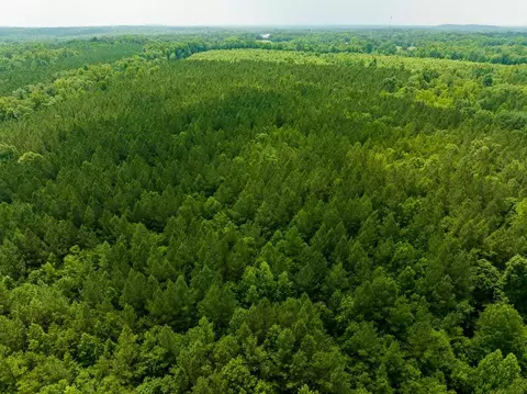 00 Mill Creek Rd, Roxboro, NC 27574 photo 53
